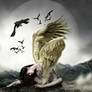 Fallen