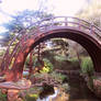 The Drum Bridge at the Japanese Tea Garden