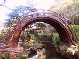 The Drum Bridge at the Japanese Tea Garden