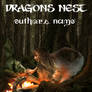 Dragons Nest eBook with text