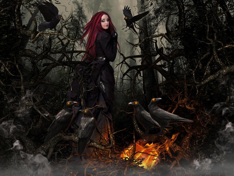 The Book of Ravens