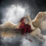 Red Wine for Angels