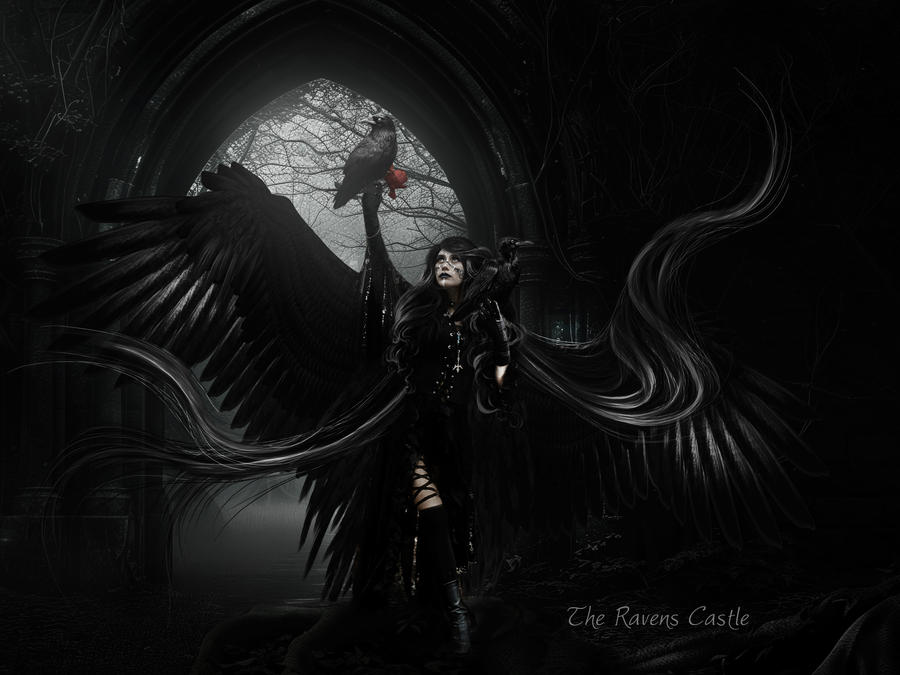 The Ravens Castle