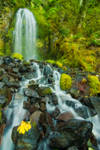 Defiance Falls by davidrichterphoto