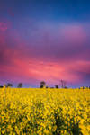 Sky Might Fall by davidrichterphoto