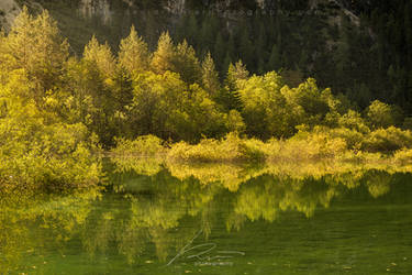 Emerald Waters - Lago di Landro, Dolomites, Italy