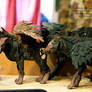 Winged Hyenas