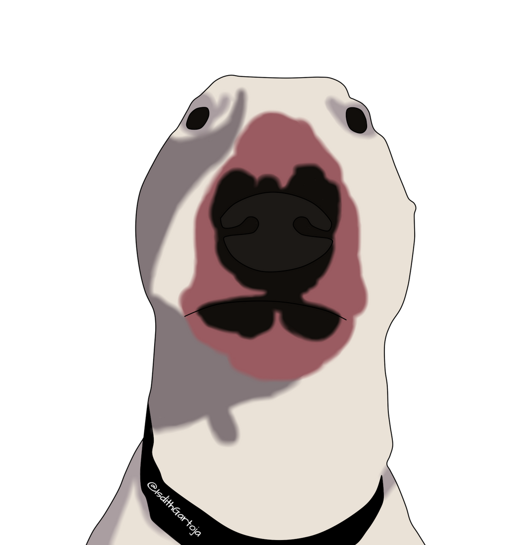Walter The Dog by IsdithGartoja on DeviantArt