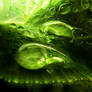 nature secret IIII