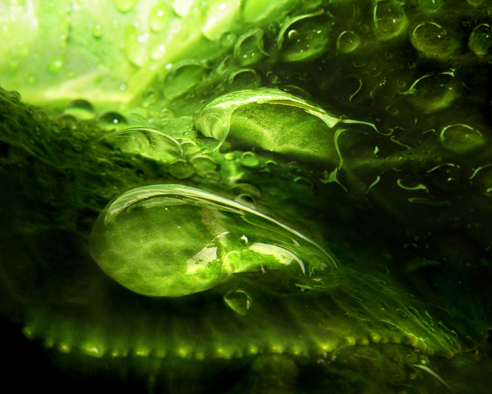 Густые зеленые воды. Зеленая вода. Зеленая жидкость. Капли воды. Зеленая заставка.