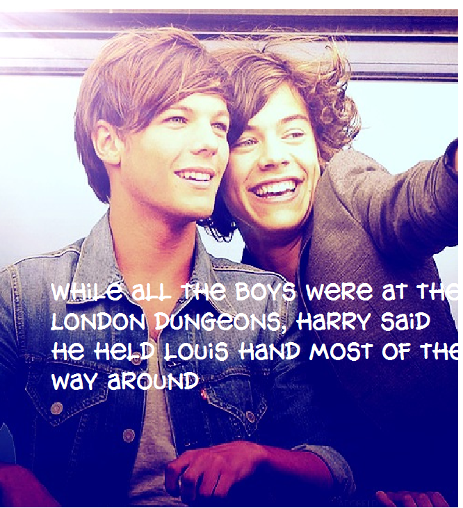 Louis and harry fact