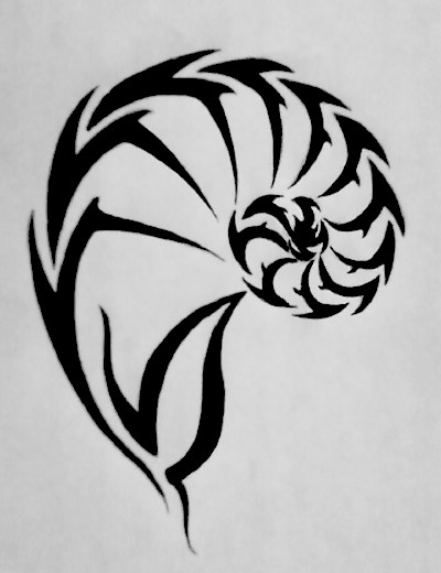 Nautilus Shell By Themajesticcarnival On Deviantart