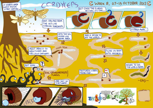 2012 Fact of the Week - Week 8 Cordyceps