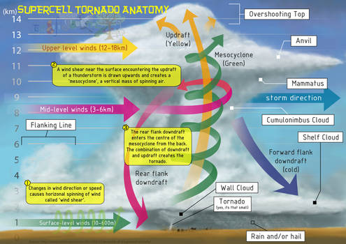 2014 Fact of the Week - Supercell Tornado Anatomy