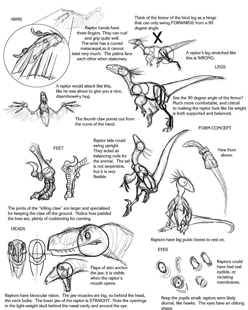 Raptor Tutorial by Droemar on DeviantArt