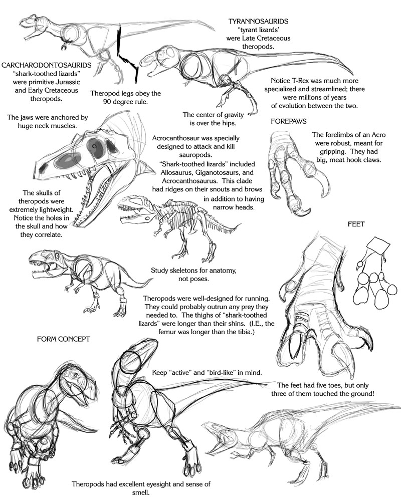 Theropod Tutorial by Droemar