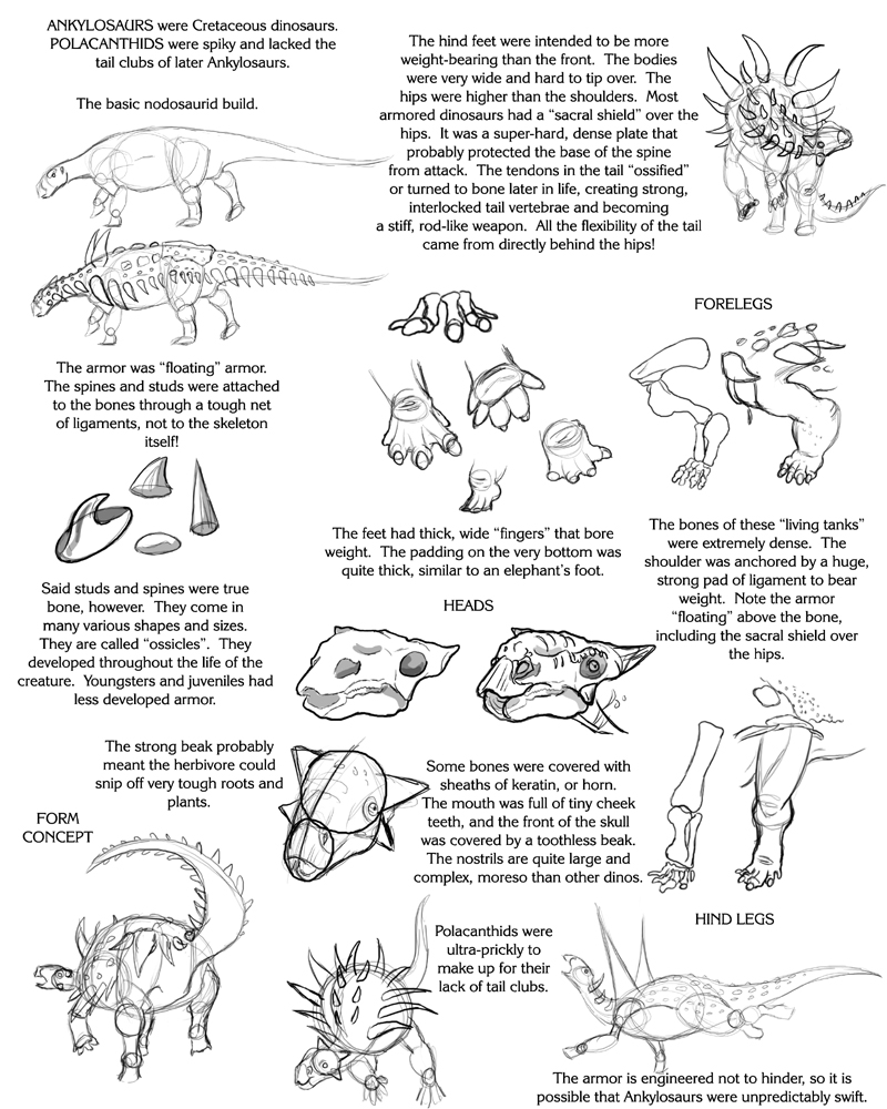 Ankylosaur tutorial by Droemar