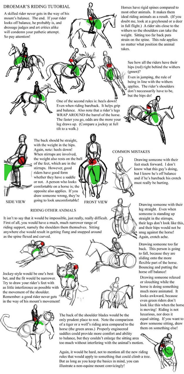 Riding Tutorial by Droemar