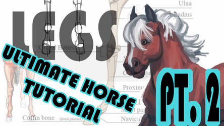 ULTIMATE HORSE TUTORIAL - Pt. 2 - The Foreleg