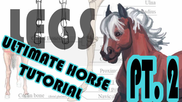 ULTIMATE HORSE TUTORIAL - Pt. 2 - The Foreleg