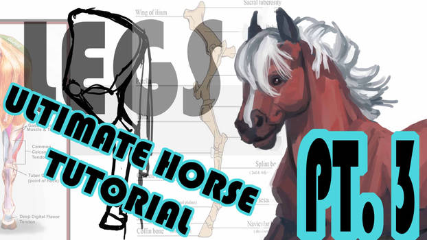 ULTIMATE HORSE TUTORIAL - Pt. 3 - The Hind Leg