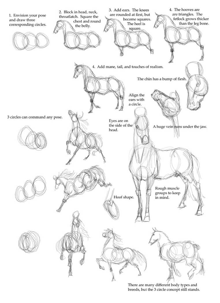 How to Draw a Realistic Horse