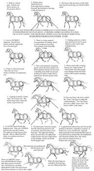 Horse Tutorial: Part 2