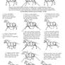 Horse Tutorial: Part 2