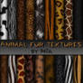 Animal fur textures
