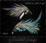 Fractal wings