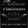 Styles for Photoshop Platinum