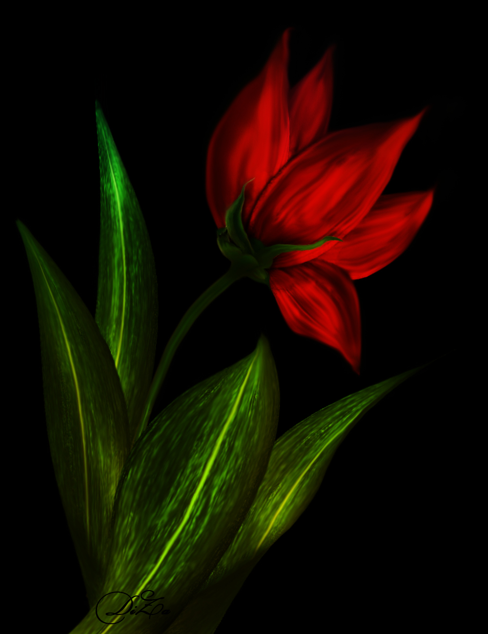 Red flower