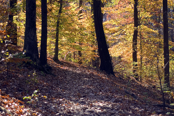 Double Rock Park in Autumn