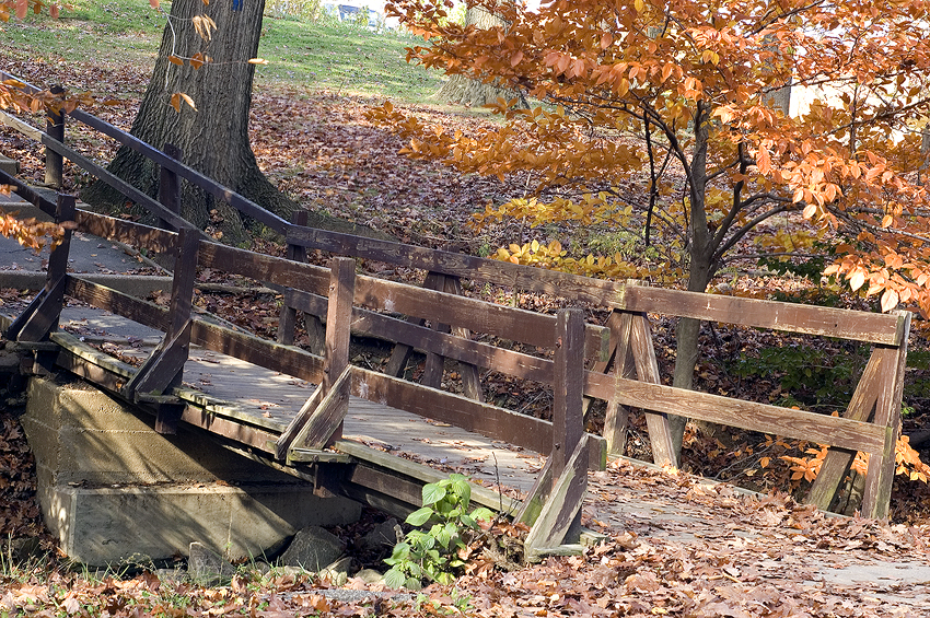 Little Park Bridge