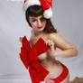 Pin Up Roxy Xmas Shoot 1