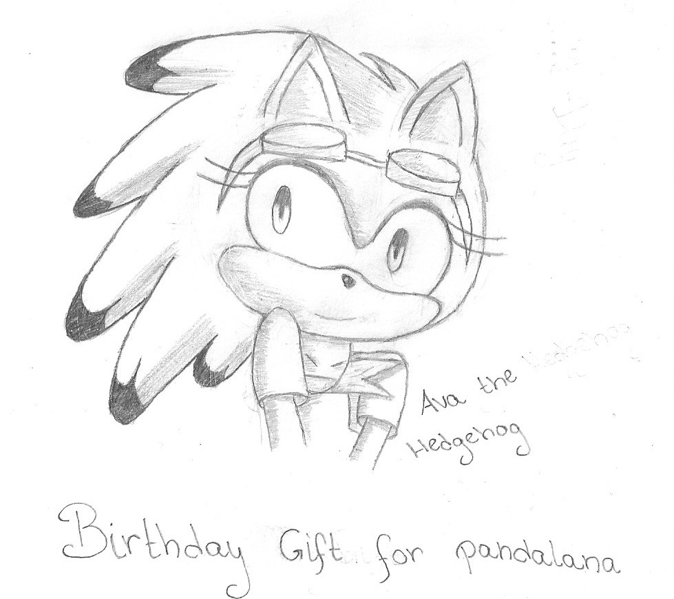 .:B-Day Gift:.| Half Body Sketch 002: Ava Hedgehog