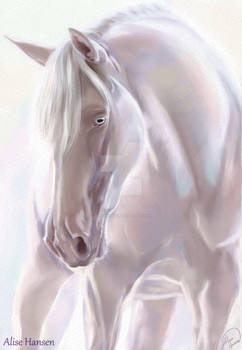 White Horse by Alise Hansen