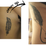 Feather cover up