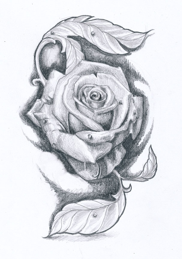 Rose tattoo design II by KlosMagda on DeviantArt Rose tattoo design II by KlosMagda on DeviantArt
