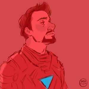 Mr. Anthony Edward Stark