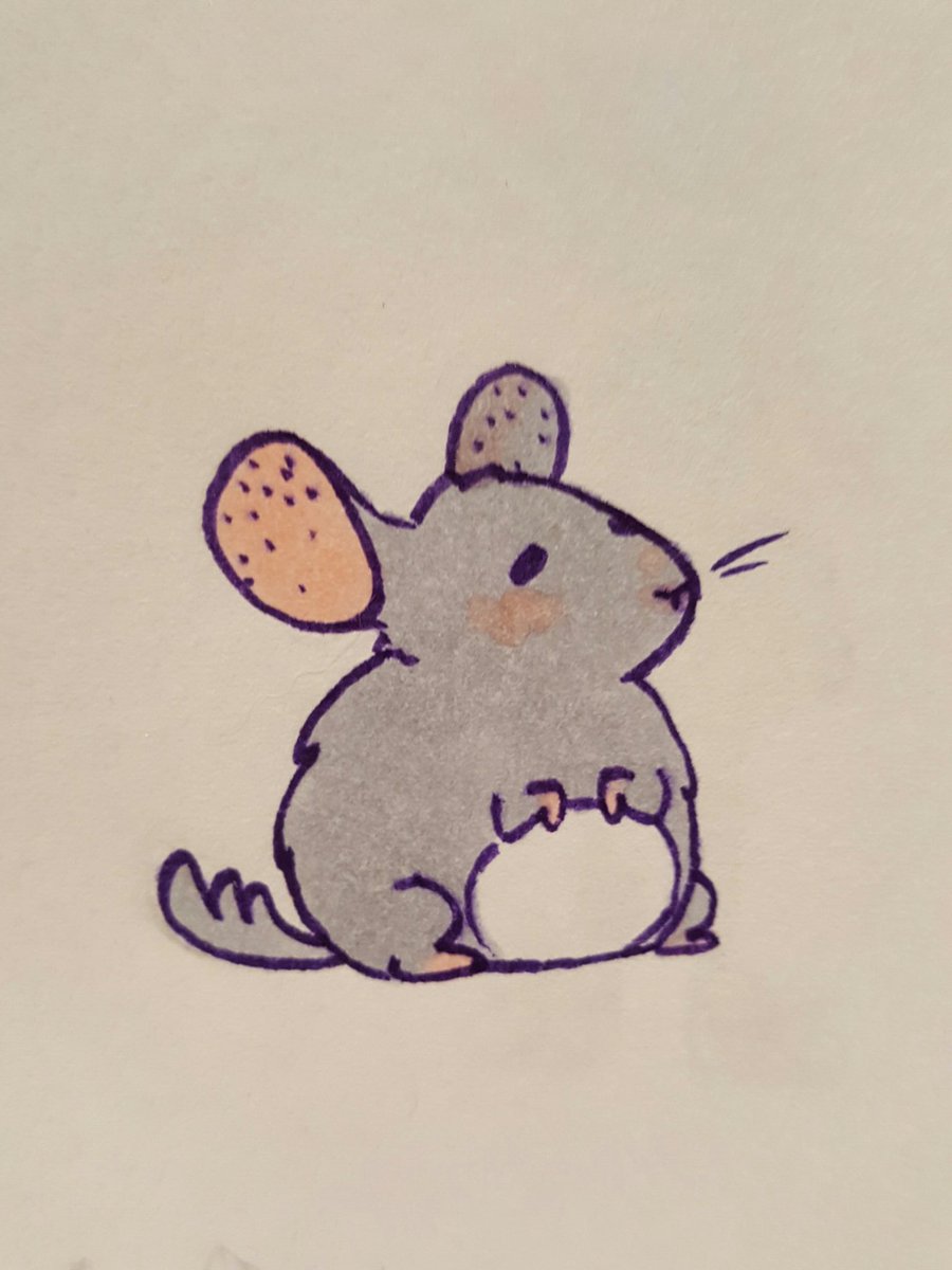 Chinchilla Doodle