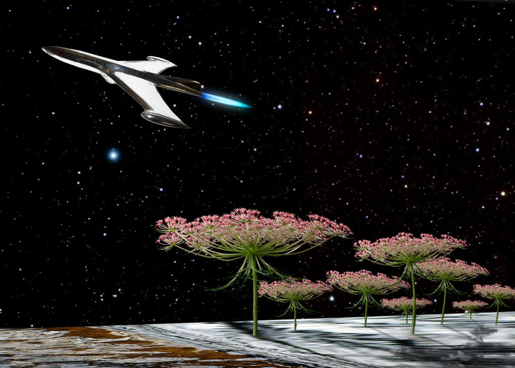 Rocket Flower - Copy by eklojoe on DeviantArt