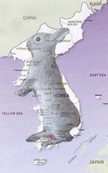 rabbit korea