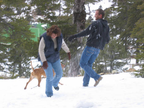 Snow In Cyprus