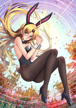 Asia Argento - HSDxD / Bunny girl