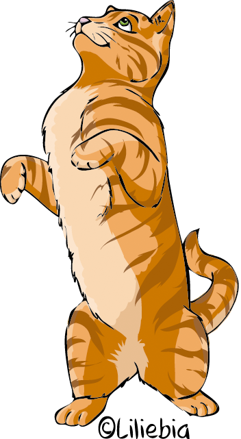 Petit Chat Roux By Liliebia On Deviantart Petit Chat Roux By Liliebia On Deviantart