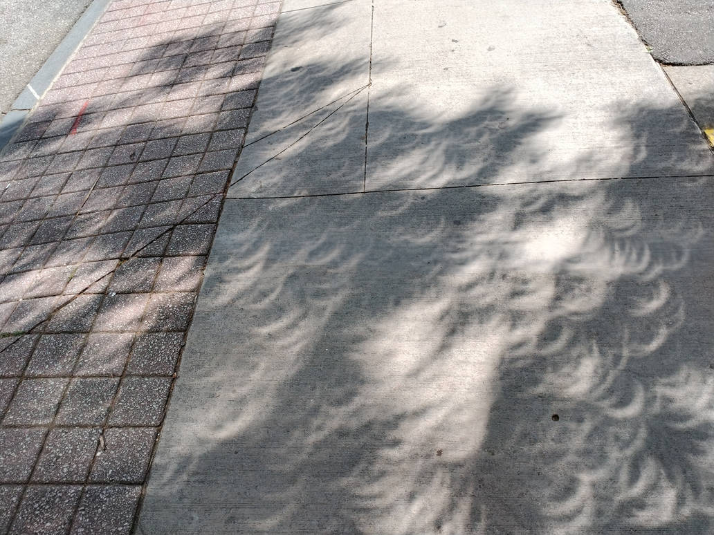 Eclipse Shadow Pattern Eclipse shadows 3 by JonathanHemlock on DeviantArt