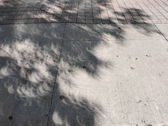 Eclipse shadows 2