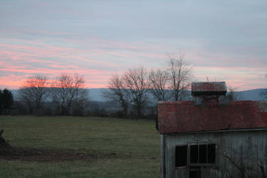 Chicken Coop