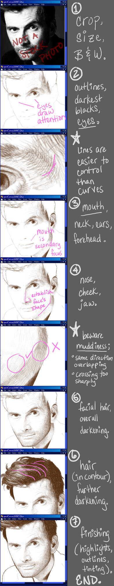 Steps Hatching In-Depth Step-by-Step: Hatching by MerianMoriarty on DeviantArt